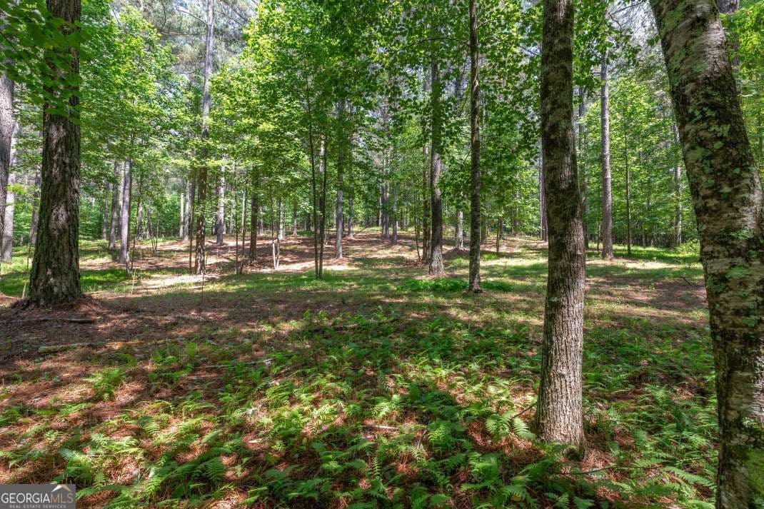residential lot for sale at LOT 48 Thirteen Hundred, Blairsville, GA 30512 — photo 8