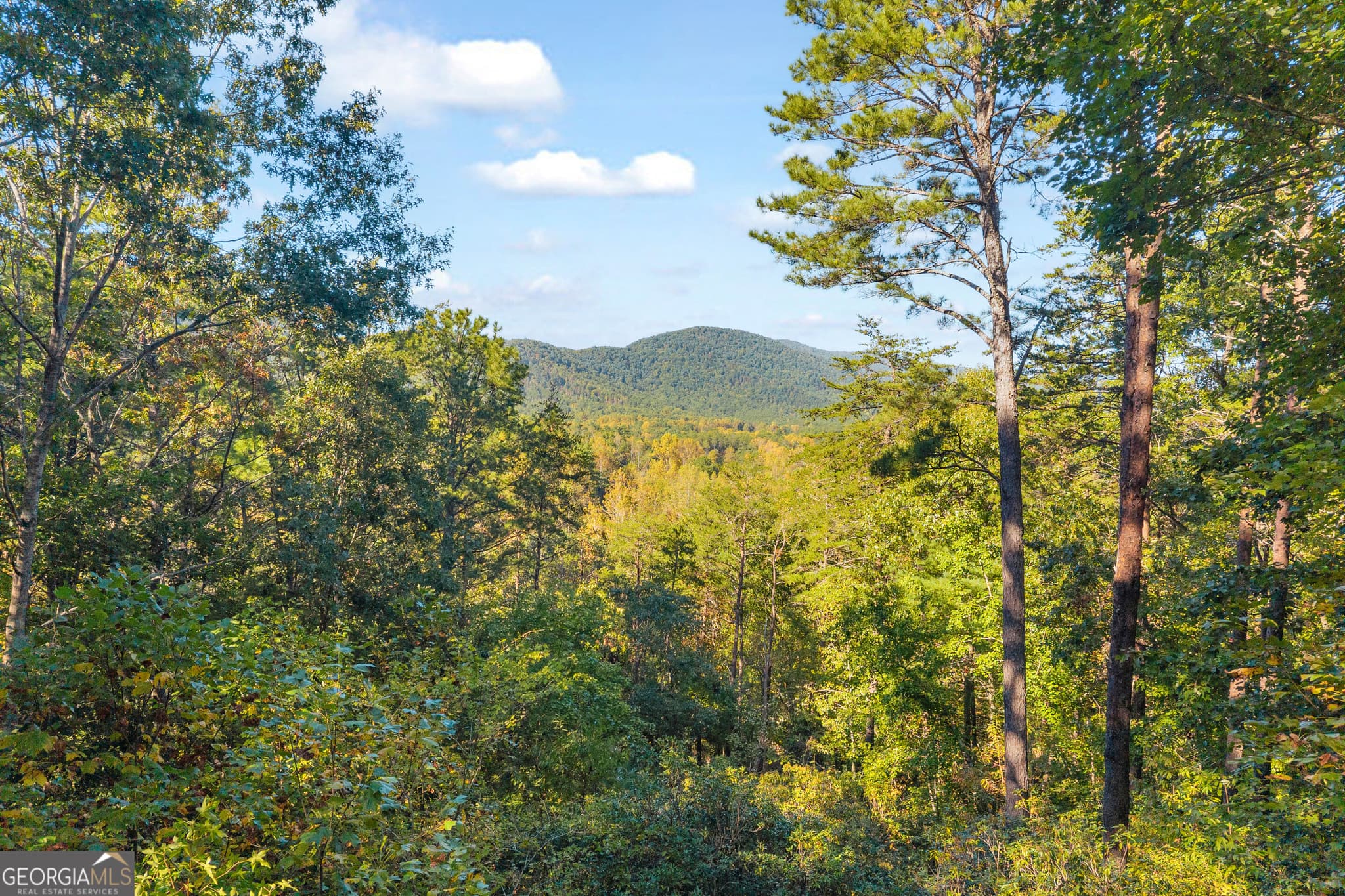 3 bedroom, 2 bathroom, 1,920 sq ft cabin,single family residence for sale at 266 Miners Mountain Road, Sautee Nacoochee, GA 30571 — photo 3