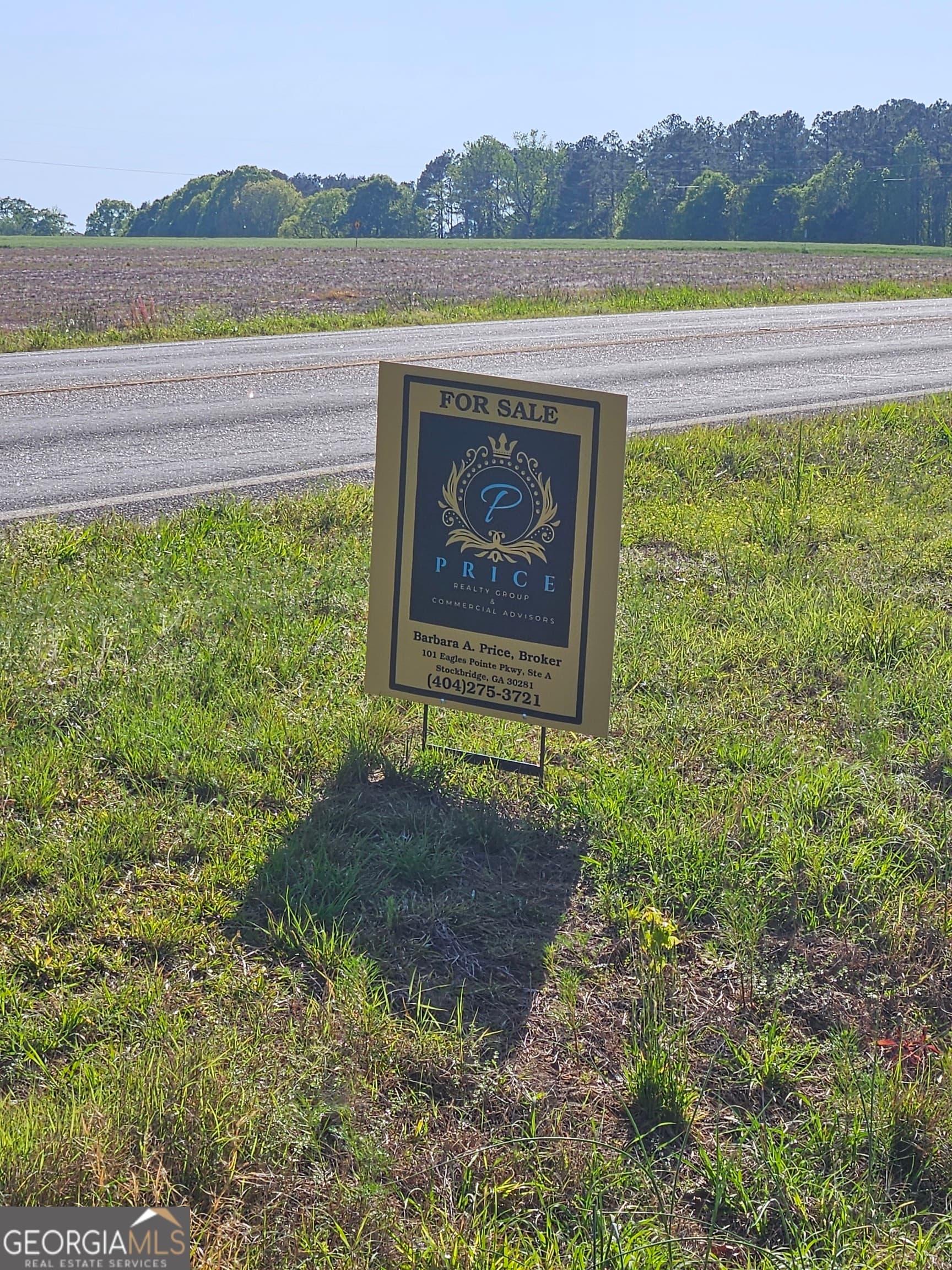 residential lot for sale at 5521 Atlanta Highway, Rutledge, GA 30663 — photo 3