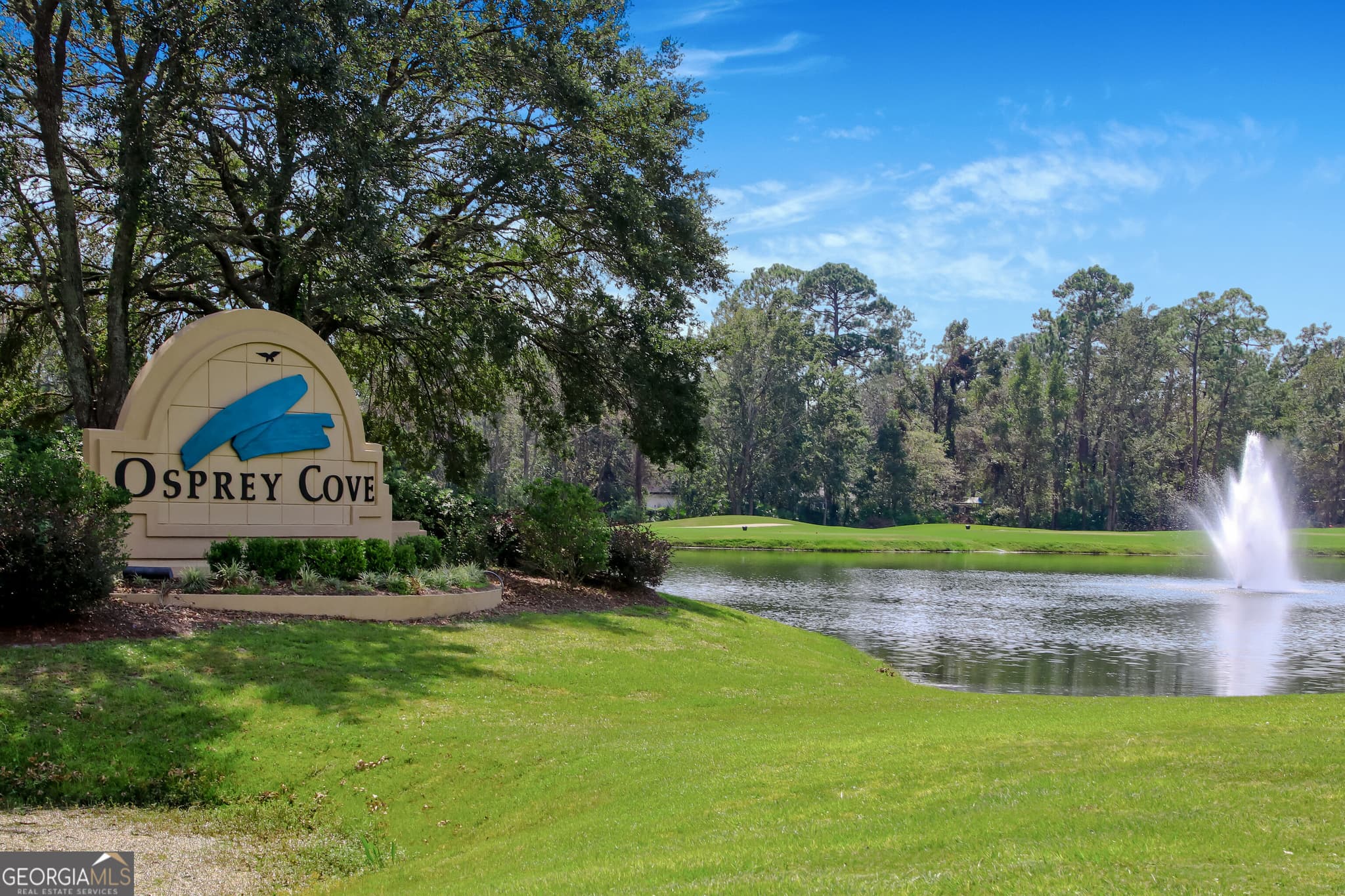 residential lot for sale at 497 Holm Place, St. Marys, GA 31558 — photo 6