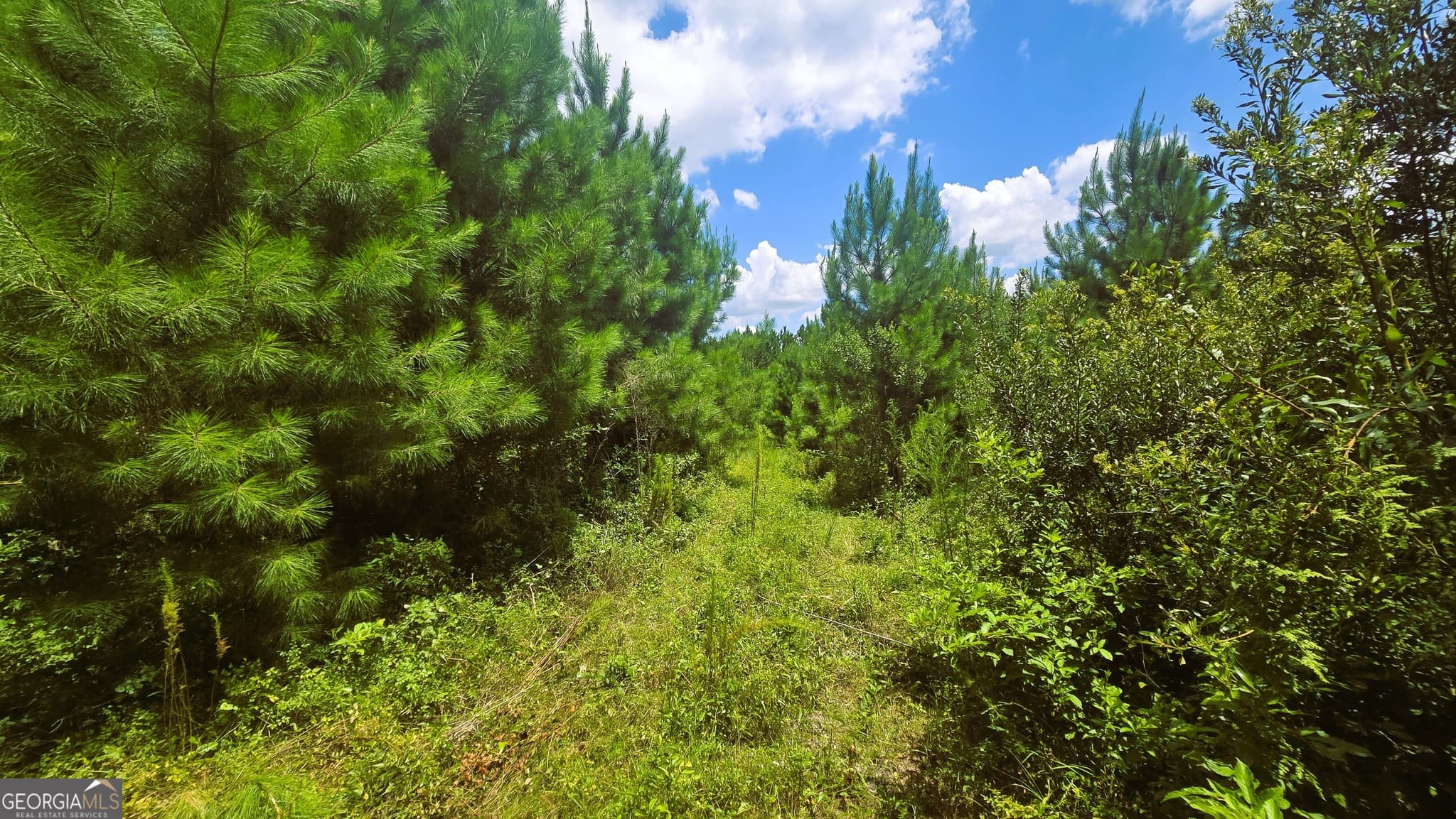 agriculture under contract at 0 East Highway 84, Cairo, GA 39827 — photo 6