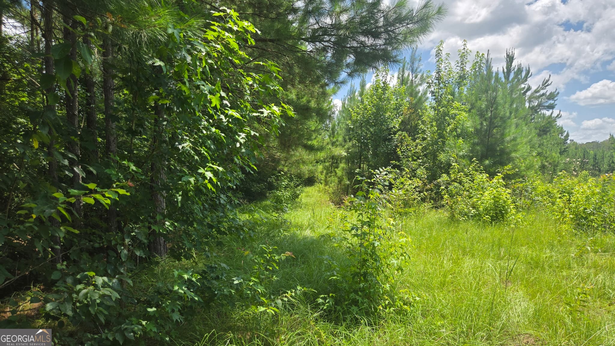 agriculture under contract at 0 East Highway 84, Cairo, GA 39827 — photo 7