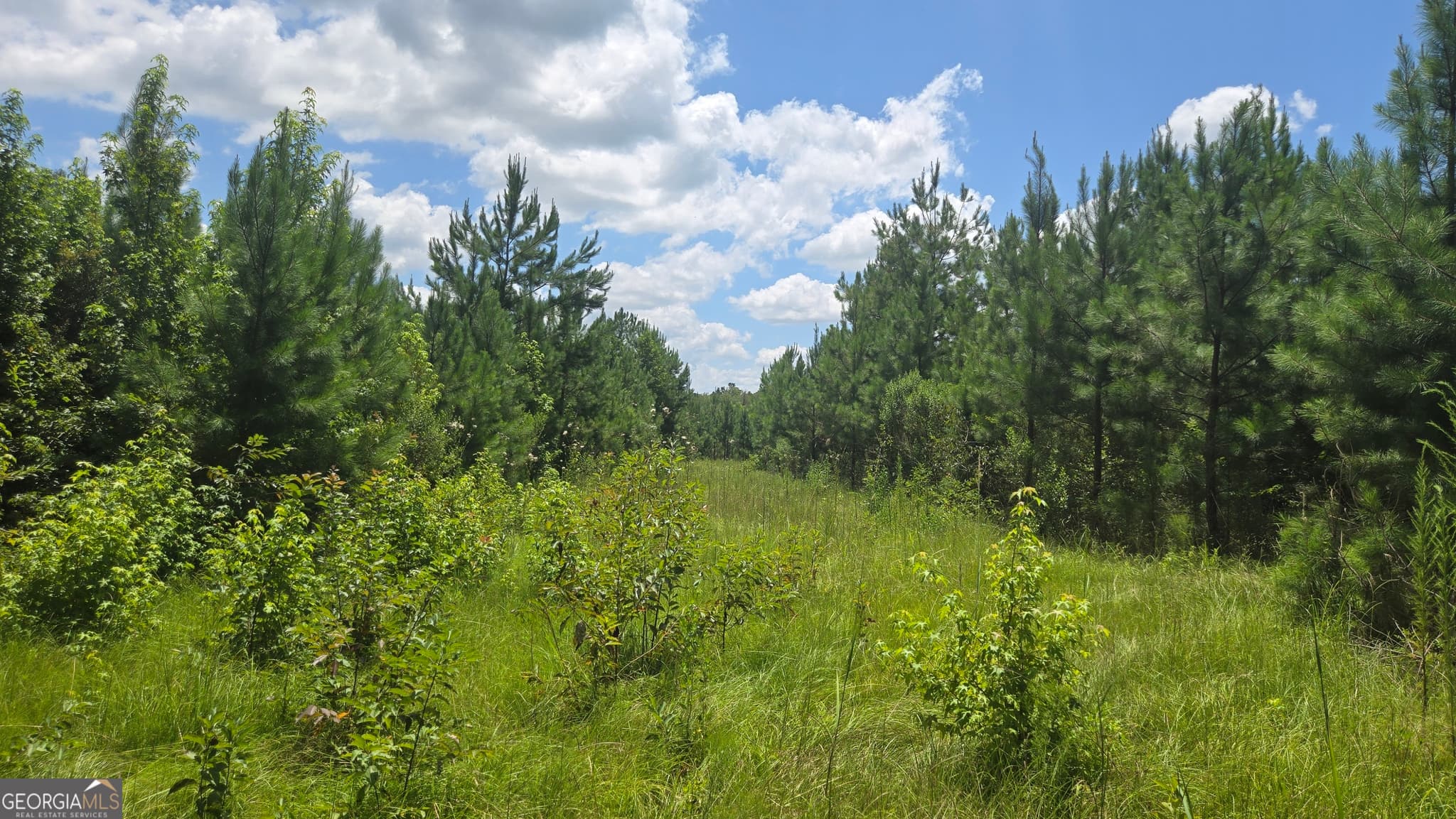 agriculture under contract at 0 East Highway 84, Cairo, GA 39827 — photo 9