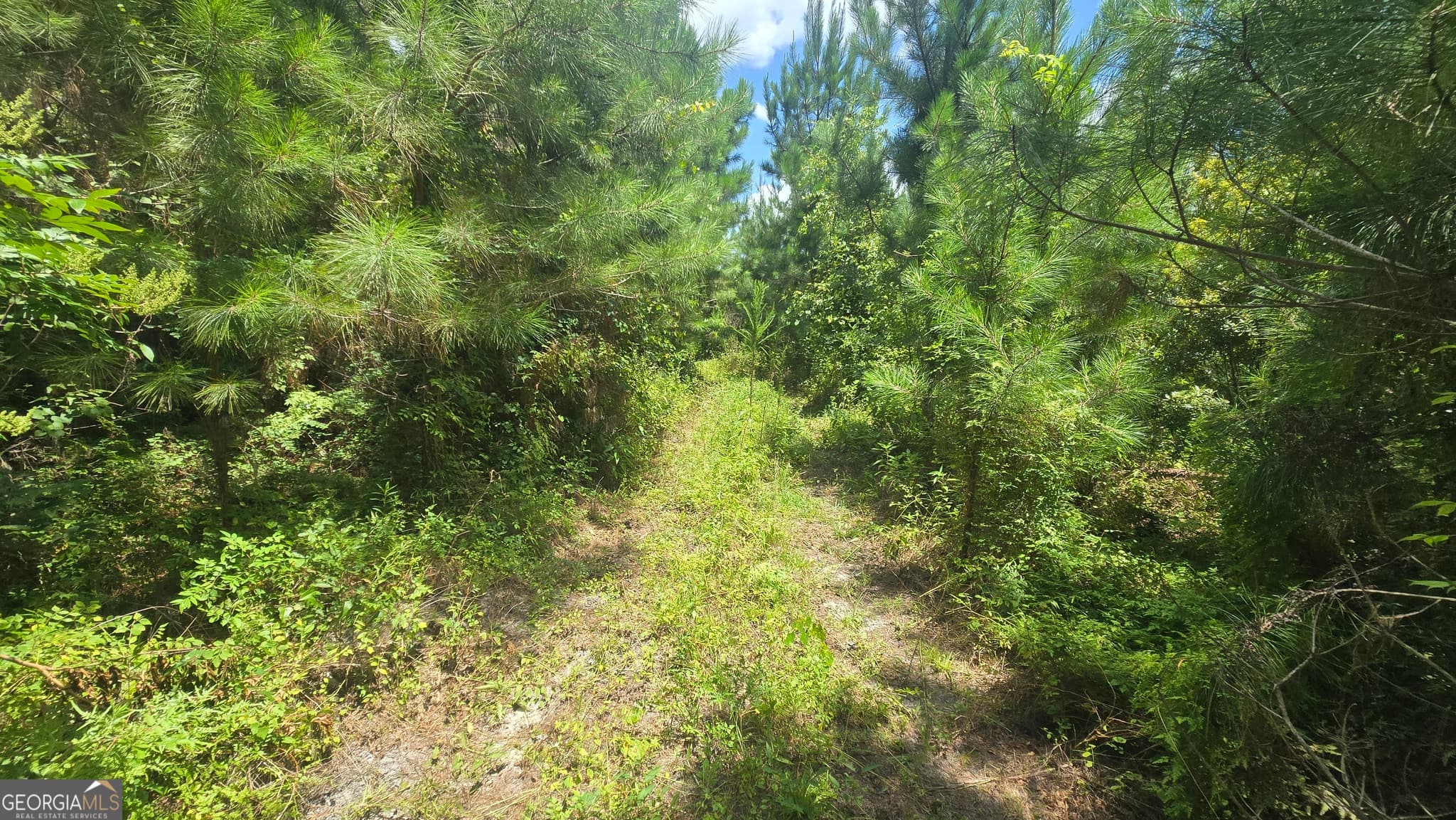agriculture under contract at 0 East Highway 84, Cairo, GA 39827 — photo 10