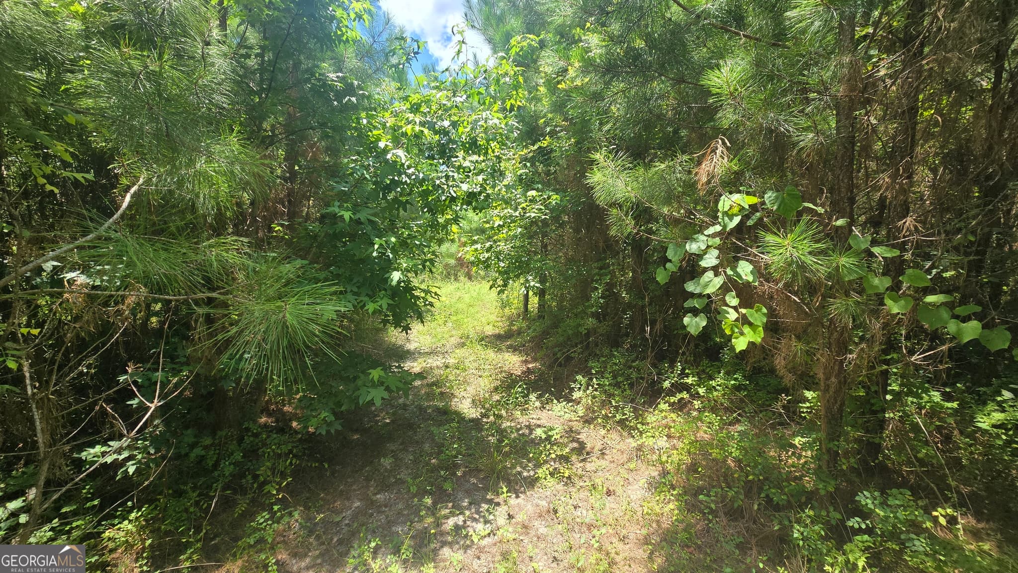agriculture under contract at 0 East Highway 84, Cairo, GA 39827 — photo 8