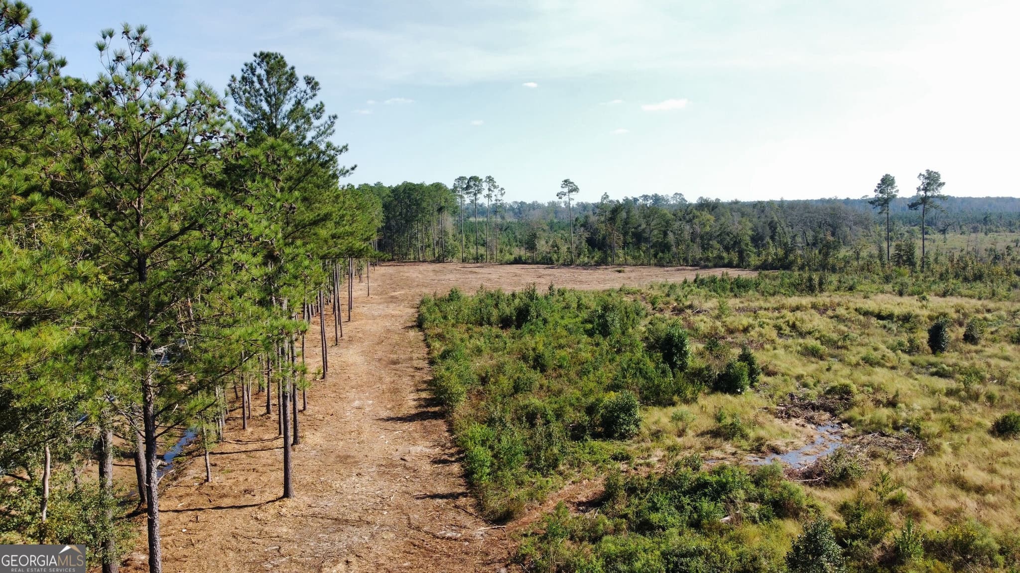 estate lot for sale at 0 Highway 46, Statesboro, GA 30458 — photo 2