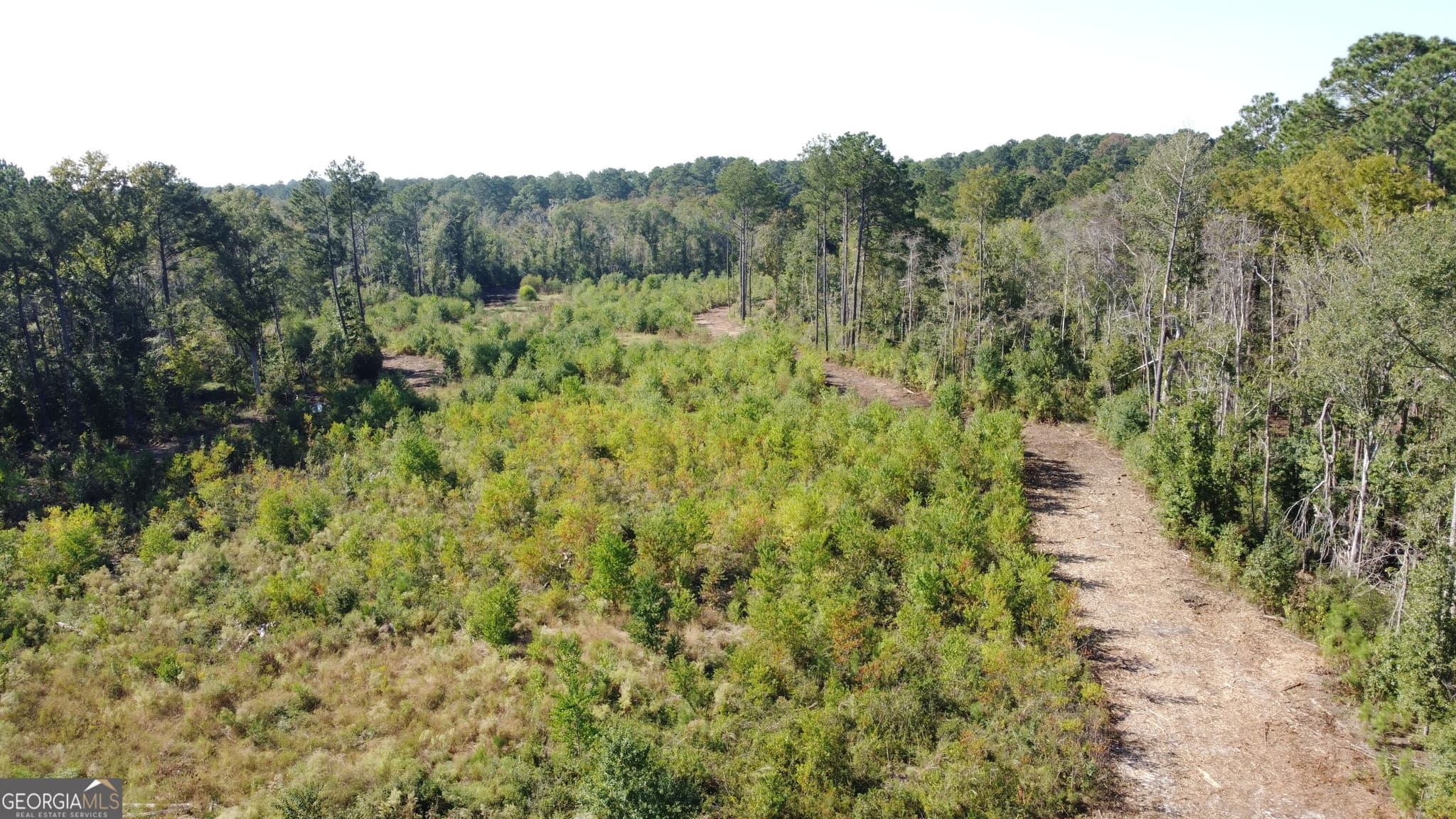estate lot for sale at 0 Highway 46, Statesboro, GA 30458 — photo 6