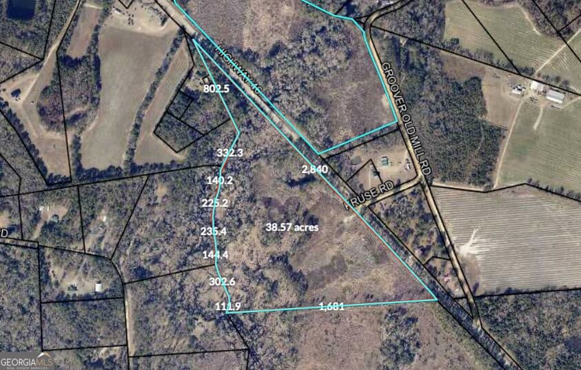 estate lot for sale at 0 Highway 46, Statesboro, GA 30458 — photo 7