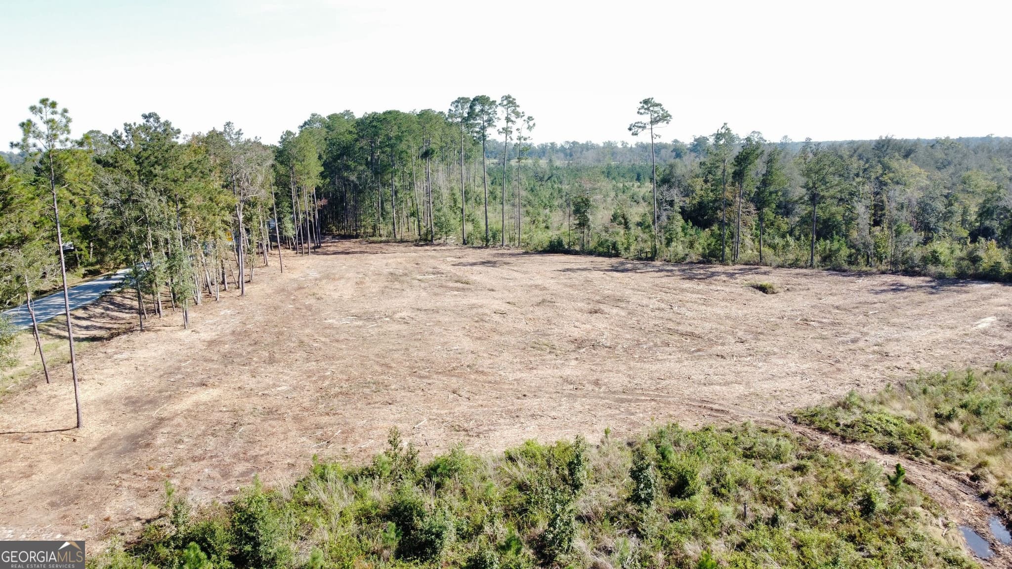 estate lot for sale at 0 Highway 46, Statesboro, GA 30458 — photo 3