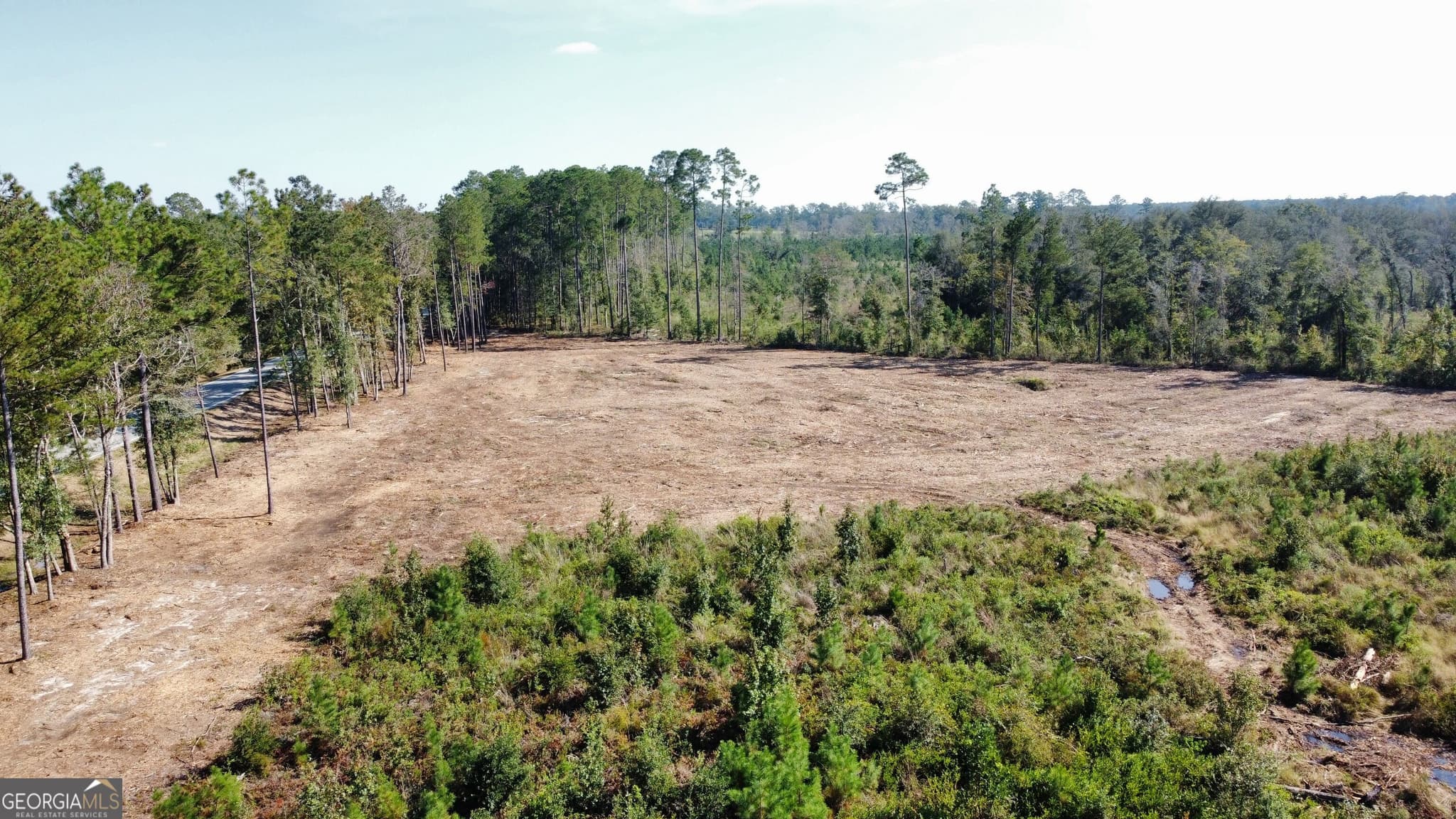 estate lot for sale at 0 Highway 46, Statesboro, GA 30458 — photo 1 of 8