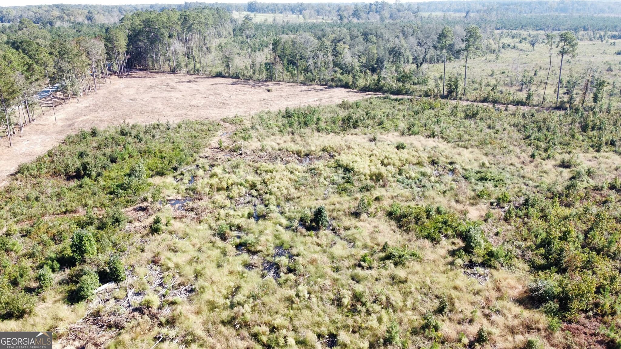 estate lot for sale at 0 Highway 46, Statesboro, GA 30458 — photo 5