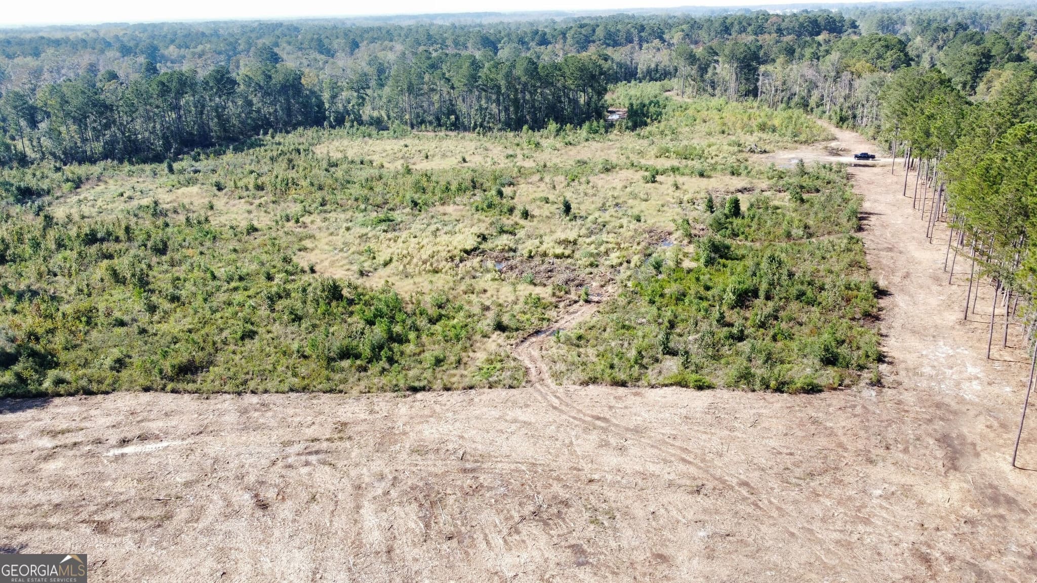 estate lot for sale at 0 Highway 46, Statesboro, GA 30458 — photo 4