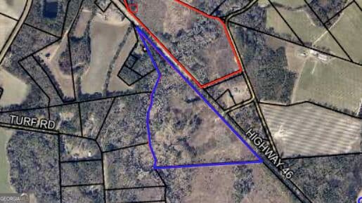 estate lot for sale at 0 Highway 46, Statesboro, GA 30458 — photo 8
