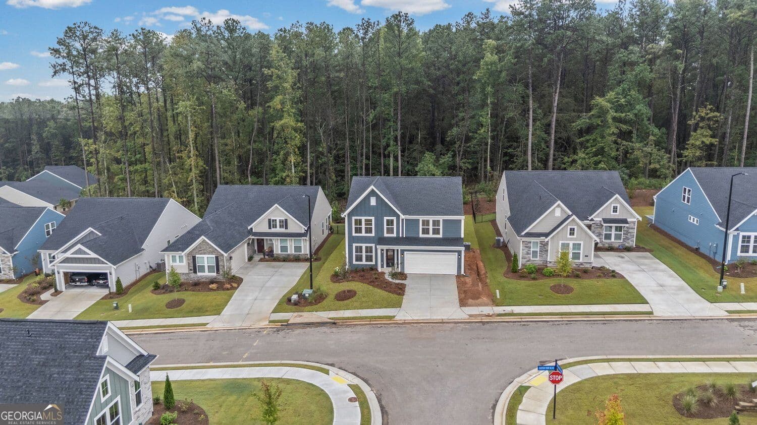3 bedroom, 2.5 bathroom, 2,483 sq ft single family residence for sale at 114 Easton Park Boulevard, Dallas, GA 30157 — photo 2