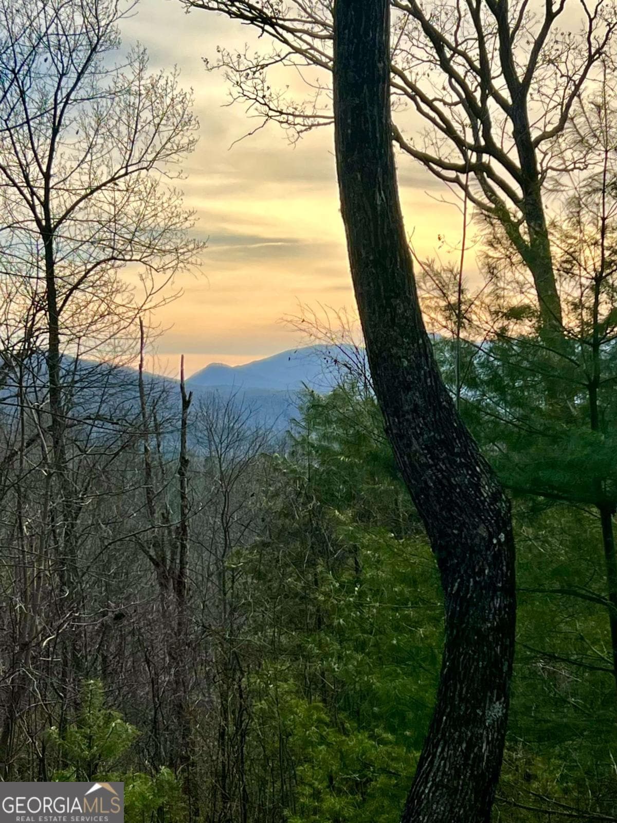 2 bedroom, 2 bathroom, 1,206 sq ft cabin,single family residence for sale at 403 Barefoot Rise 49, Hiawassee, GA 30546 — photo 7
