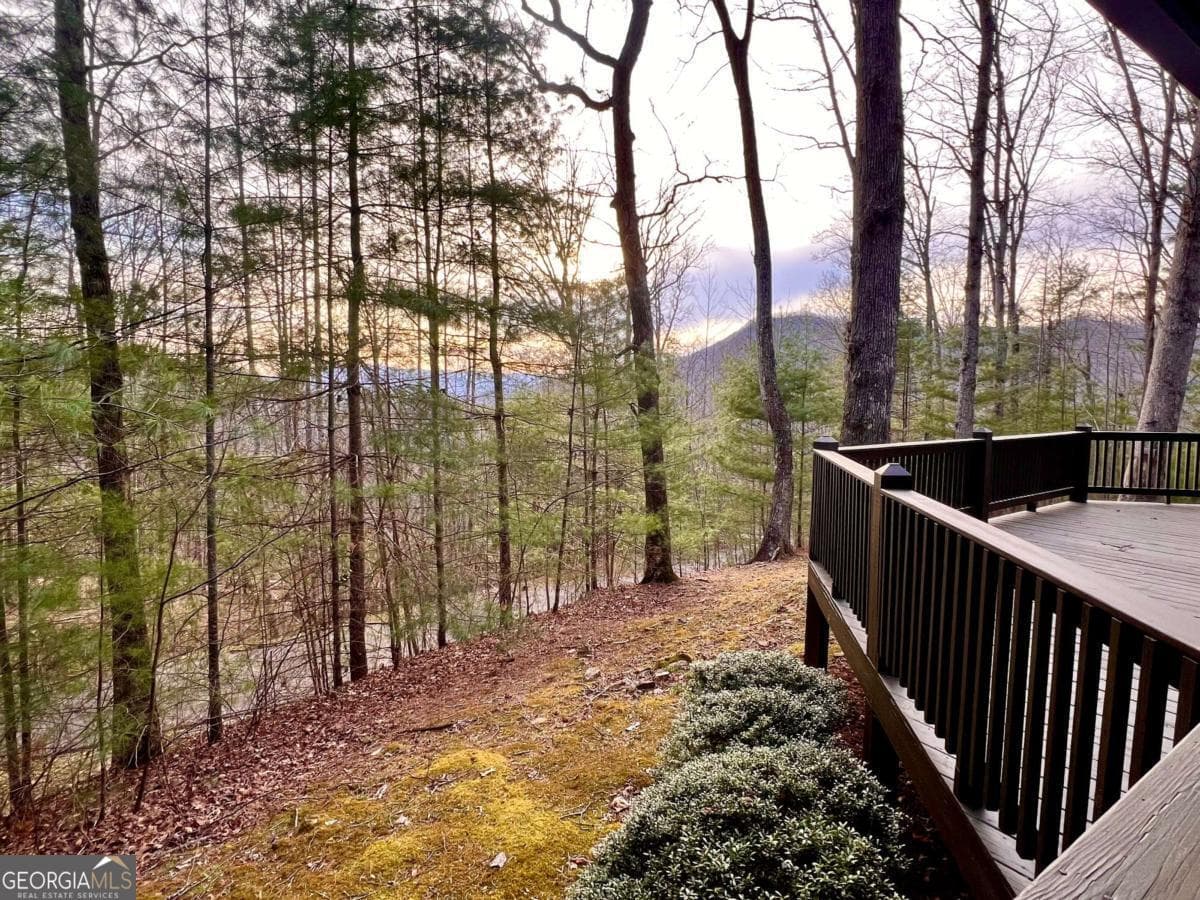 2 bedroom, 2 bathroom, 1,206 sq ft cabin,single family residence for sale at 403 Barefoot Rise 49, Hiawassee, GA 30546 — photo 5
