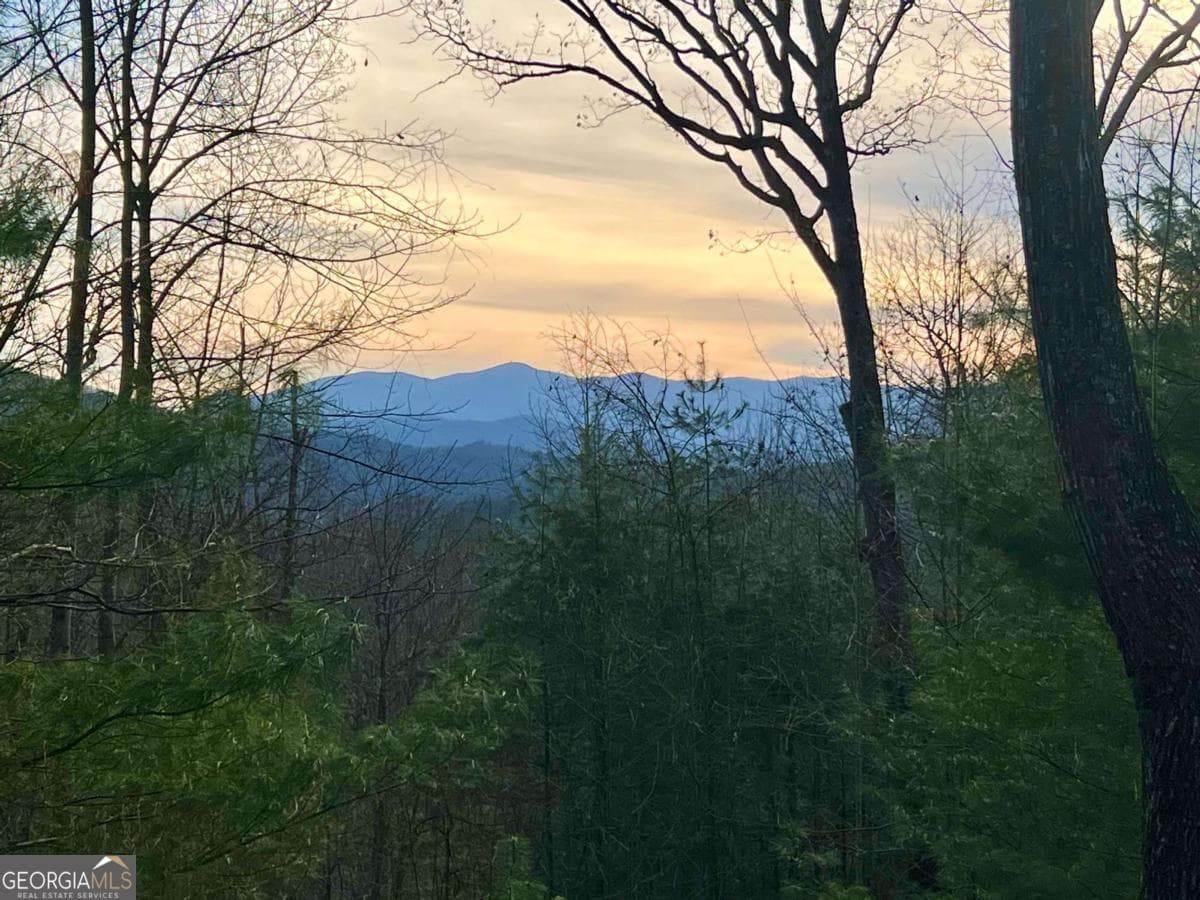 2 bedroom, 2 bathroom, 1,206 sq ft cabin,single family residence for sale at 403 Barefoot Rise 49, Hiawassee, GA 30546 — photo 4