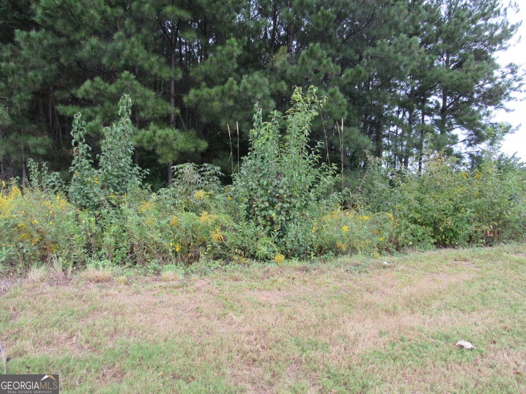 unimproved land for sale at 5022 Austell Road, Austell, GA 30106 — photo 3