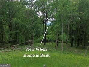 residential lot for sale at 39 High Summit Drive, Talking Rock, GA 30175 — photo 9