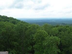 residential lot for sale at 39 High Summit Drive, Talking Rock, GA 30175 — photo 10