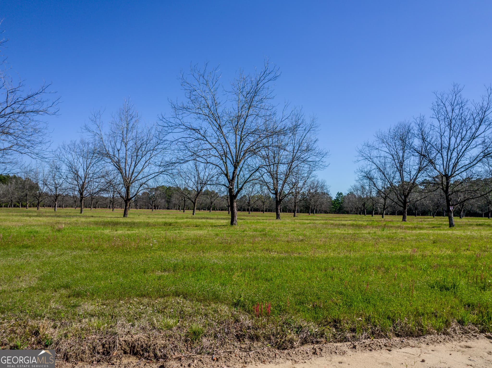 agriculture for sale at 9.64 ACRES Kermit Road, Cobbtown, GA 30420 — photo 3