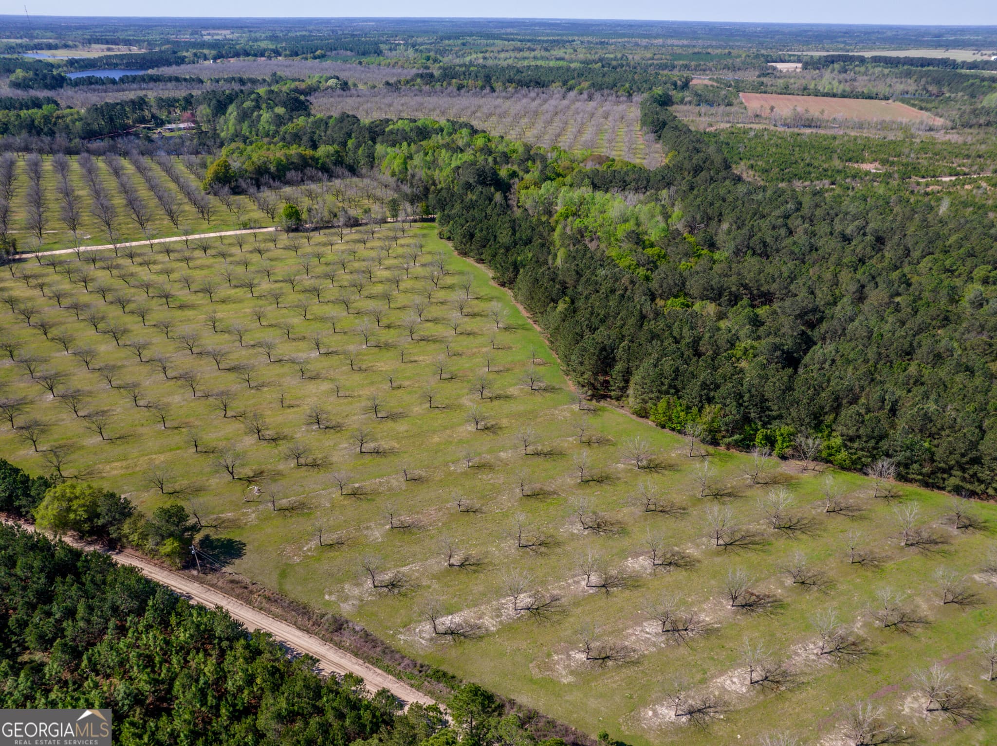 agriculture for sale at 9.64 ACRES Kermit Road, Cobbtown, GA 30420