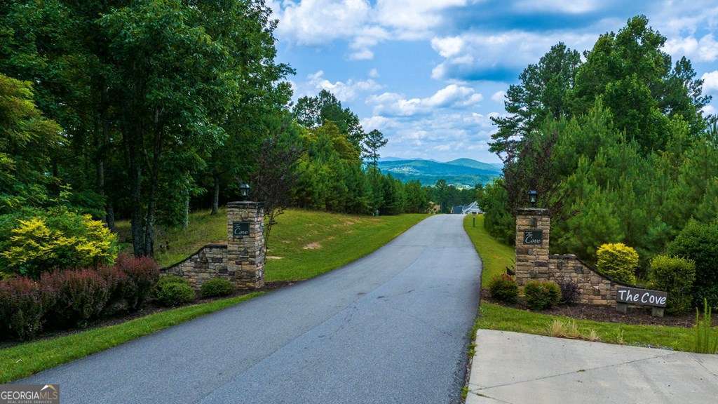 residential lot for sale at LOT 343 Loop Lane, Blairsville, GA 30512 — photo 6