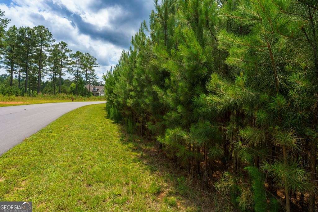 residential lot for sale at LOT 343 Loop Lane, Blairsville, GA 30512 — photo 7