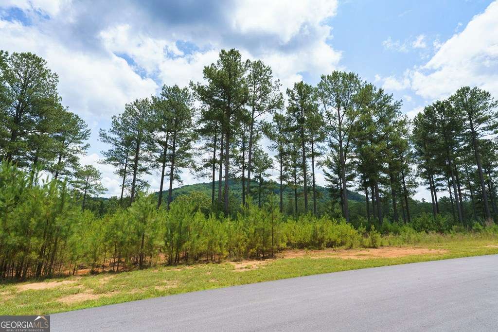 residential lot for sale at LOT 343 Loop Lane, Blairsville, GA 30512 — photo 3