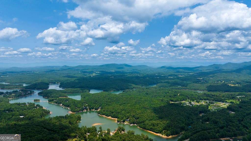 residential lot for sale at LOT 343 Loop Lane, Blairsville, GA 30512 — photo 5