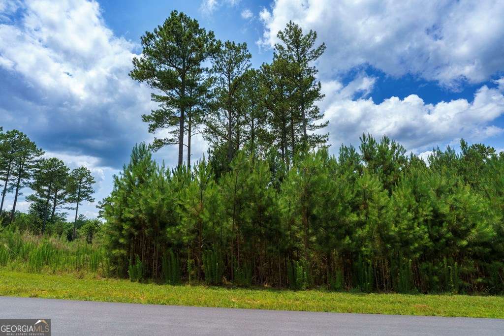residential lot for sale at LOT 343 Loop Lane, Blairsville, GA 30512 — photo 9