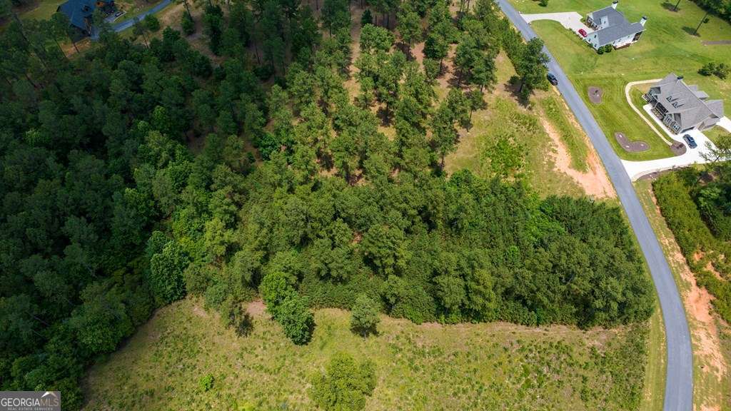 residential lot for sale at LOT 343 Loop Lane, Blairsville, GA 30512 — photo 10