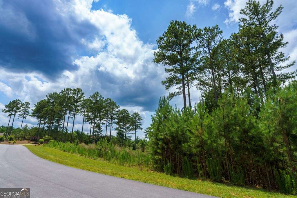 residential lot for sale at LOT 343 Loop Lane, Blairsville, GA 30512 — photo 8