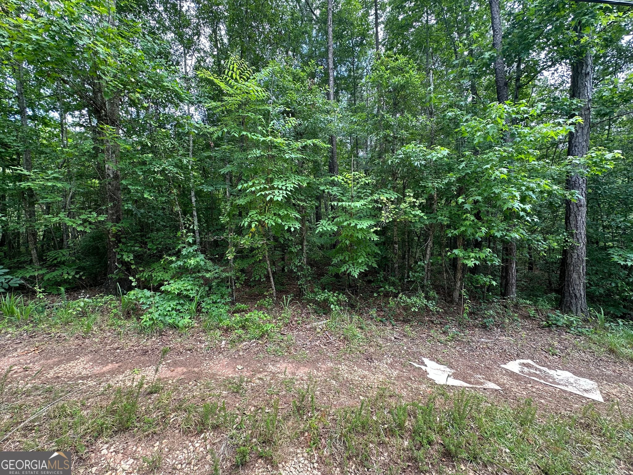 agriculture sold at 0 Lee Rd 279, Valley, AL 36854