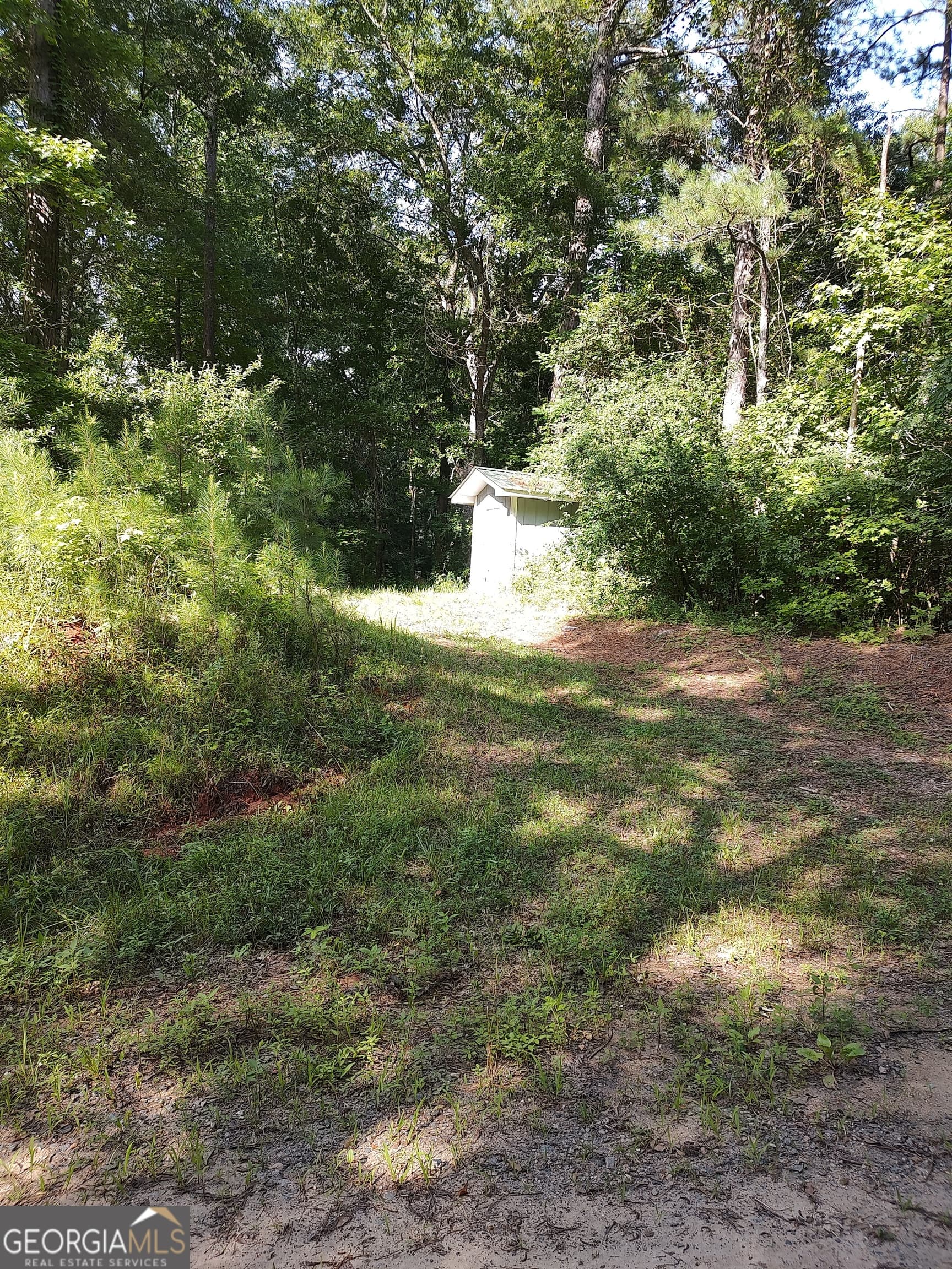 agriculture under contract at 377 Hillsboro Lake Road, Hillsboro, GA 31038 — photo 3