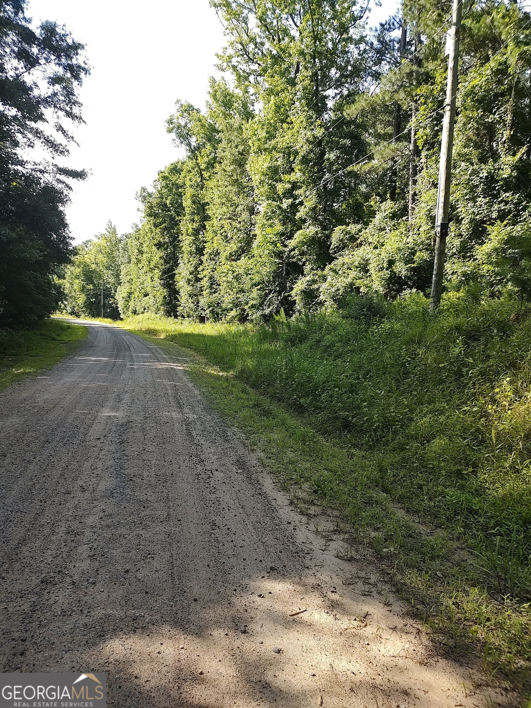 agriculture under contract at 377 Hillsboro Lake Road, Hillsboro, GA 31038 — photo 4