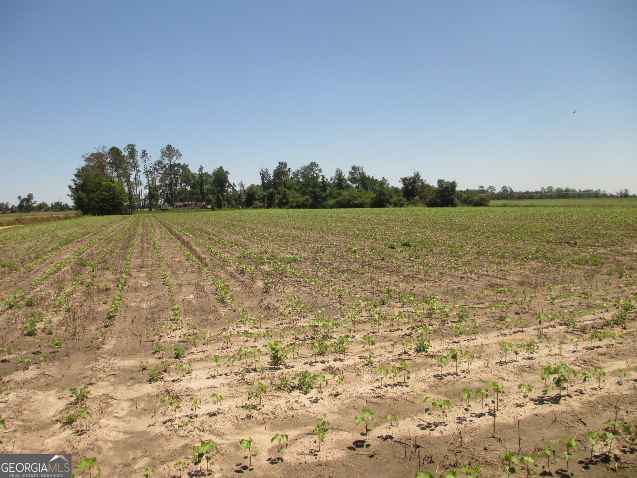 agriculture under contract at 08600022T3 Redbird Road, Lumber City, GA 31549 — photo 2