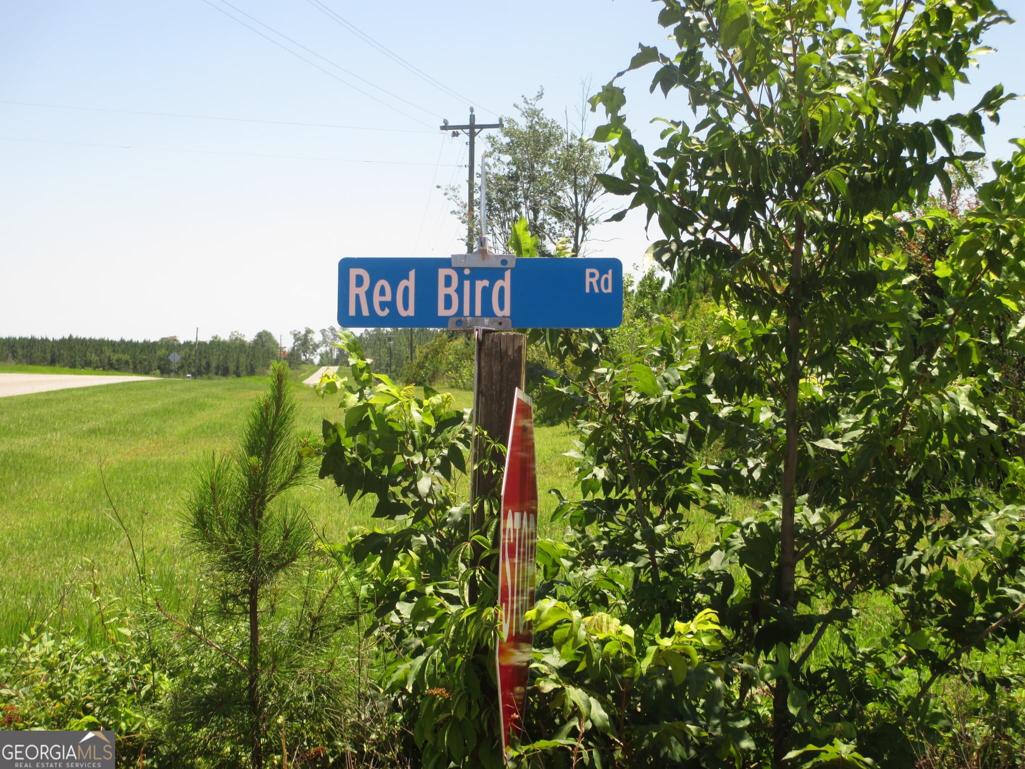 agriculture under contract at 08600022T3 Redbird Road, Lumber City, GA 31549 — photo 6