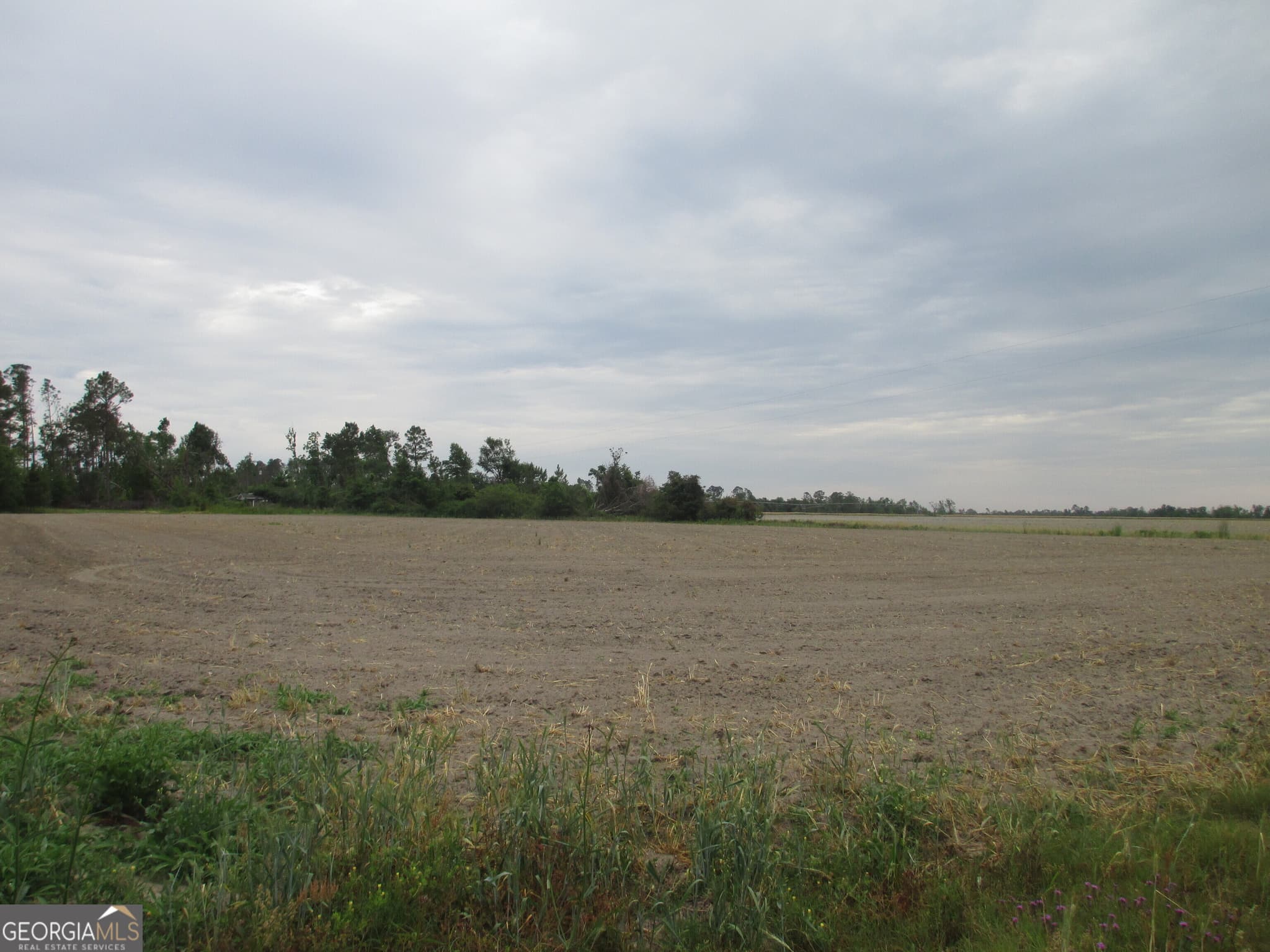 agriculture under contract at 08600022T3 Redbird Road, Lumber City, GA 31549 — photo 3