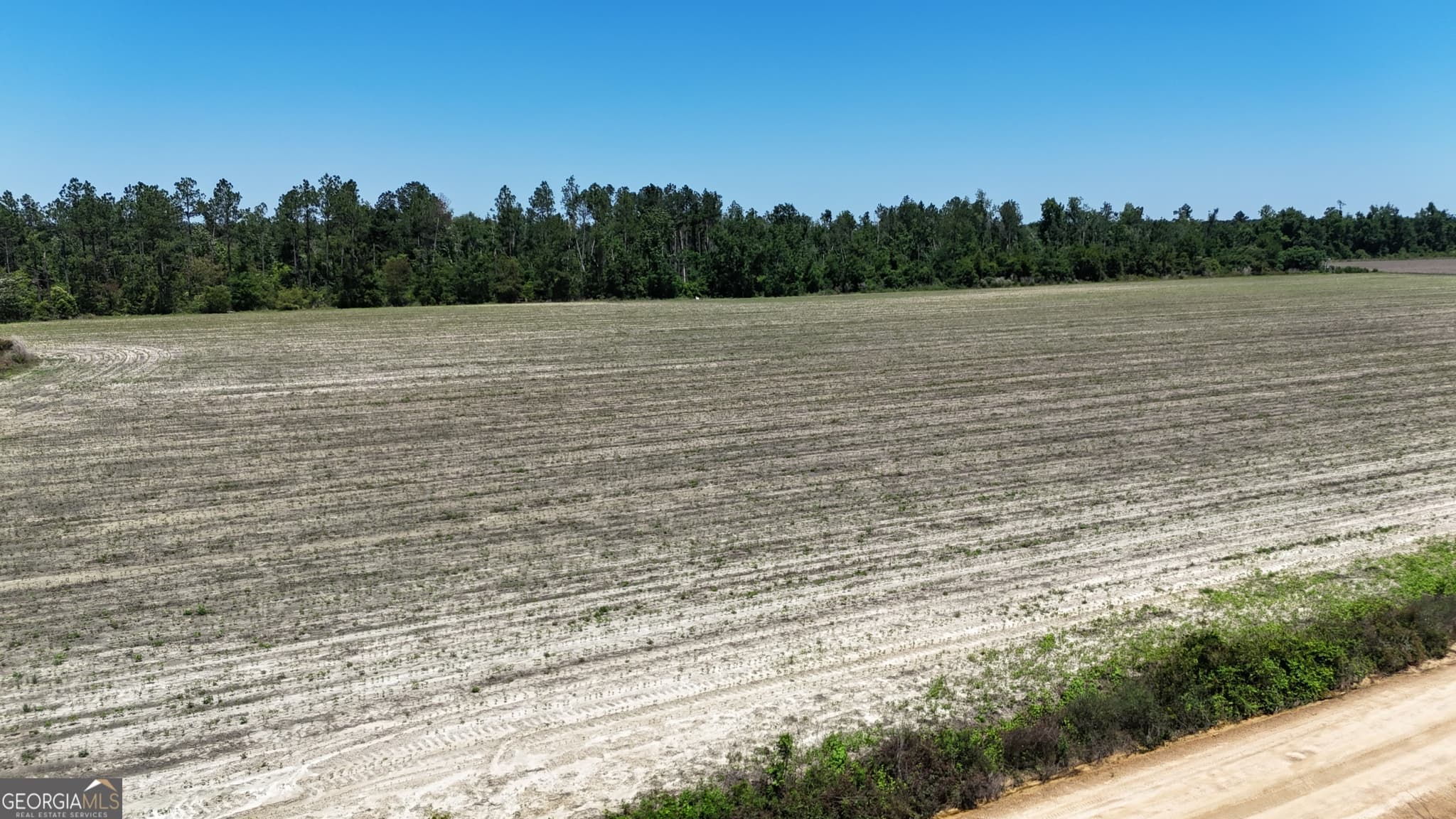 agriculture under contract at 08600022T3 Redbird Road, Lumber City, GA 31549