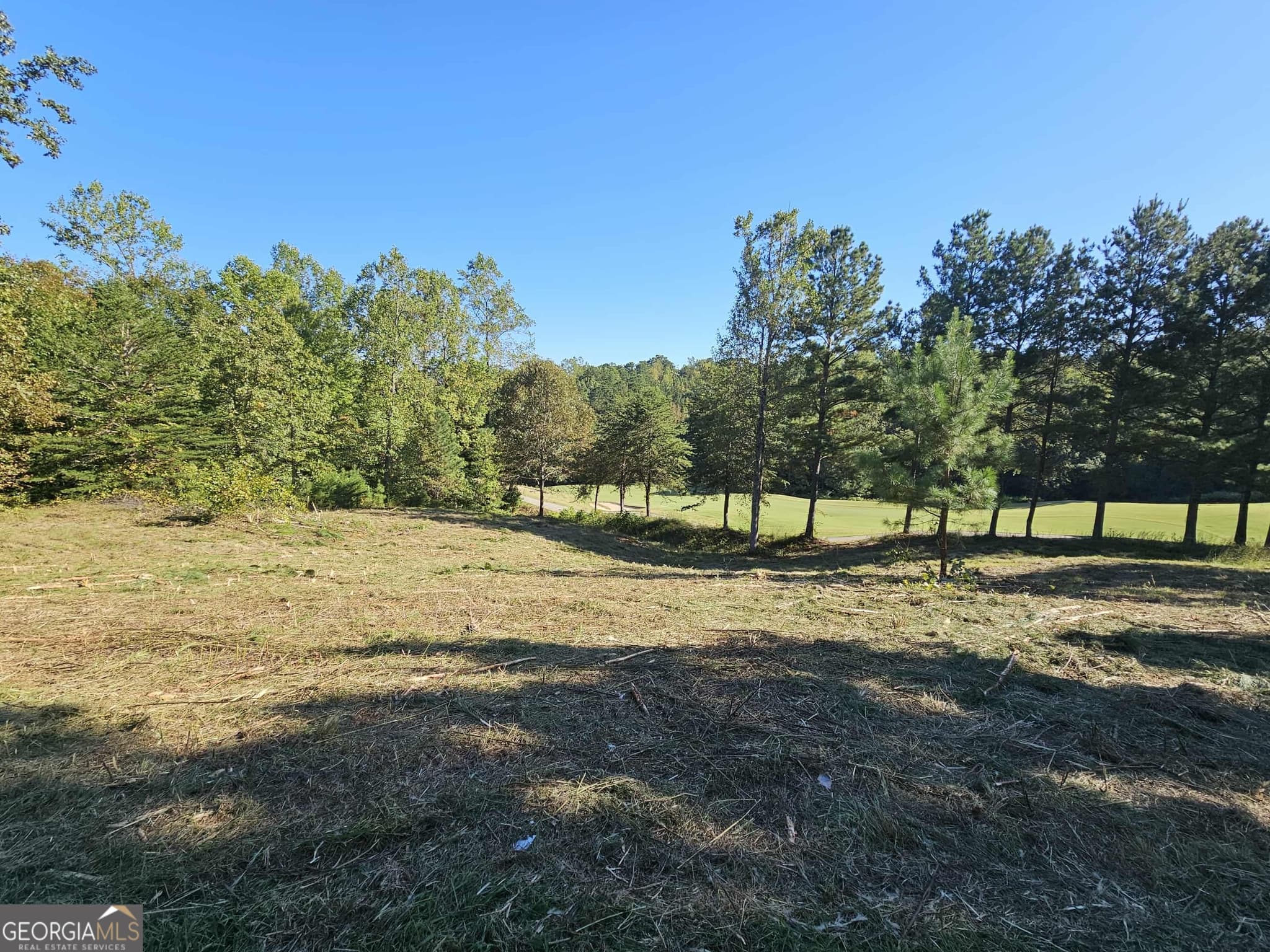 residential lot for sale at 256 Golf Ridge Way, Toccoa, GA 30577 — photo 2