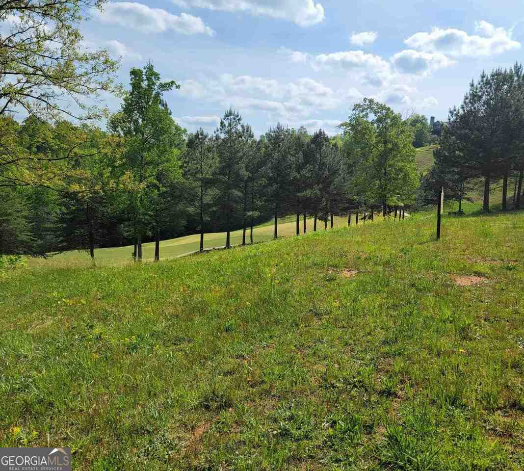 residential lot for sale at 256 Golf Ridge Way, Toccoa, GA 30577 — photo 6