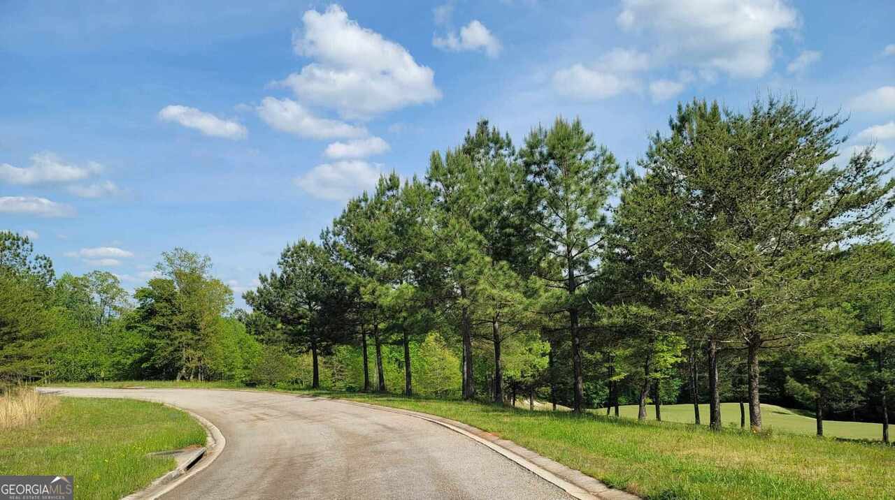 residential lot for sale at 256 Golf Ridge Way, Toccoa, GA 30577 — photo 7