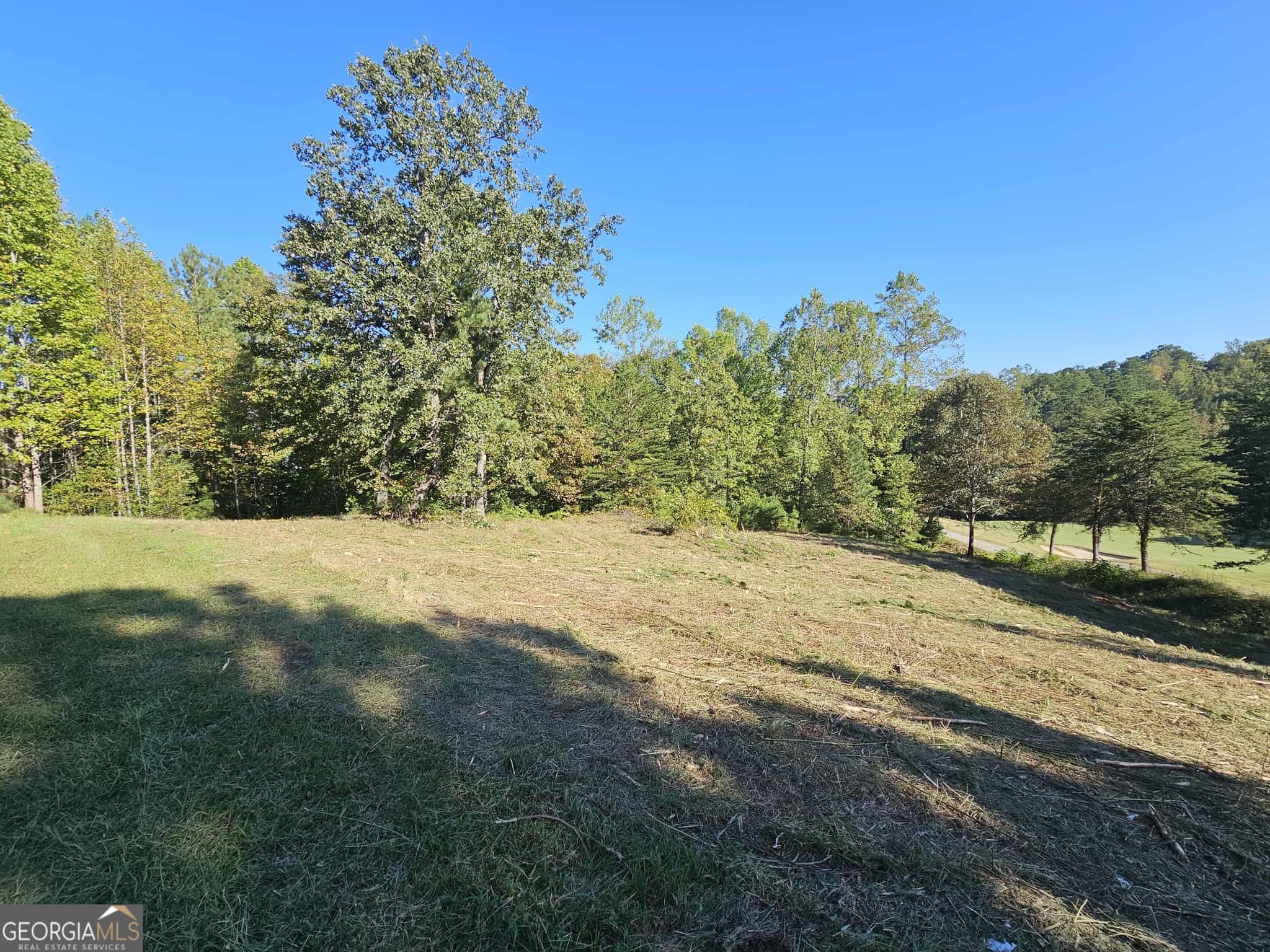 residential lot for sale at 256 Golf Ridge Way, Toccoa, GA 30577 — photo 3