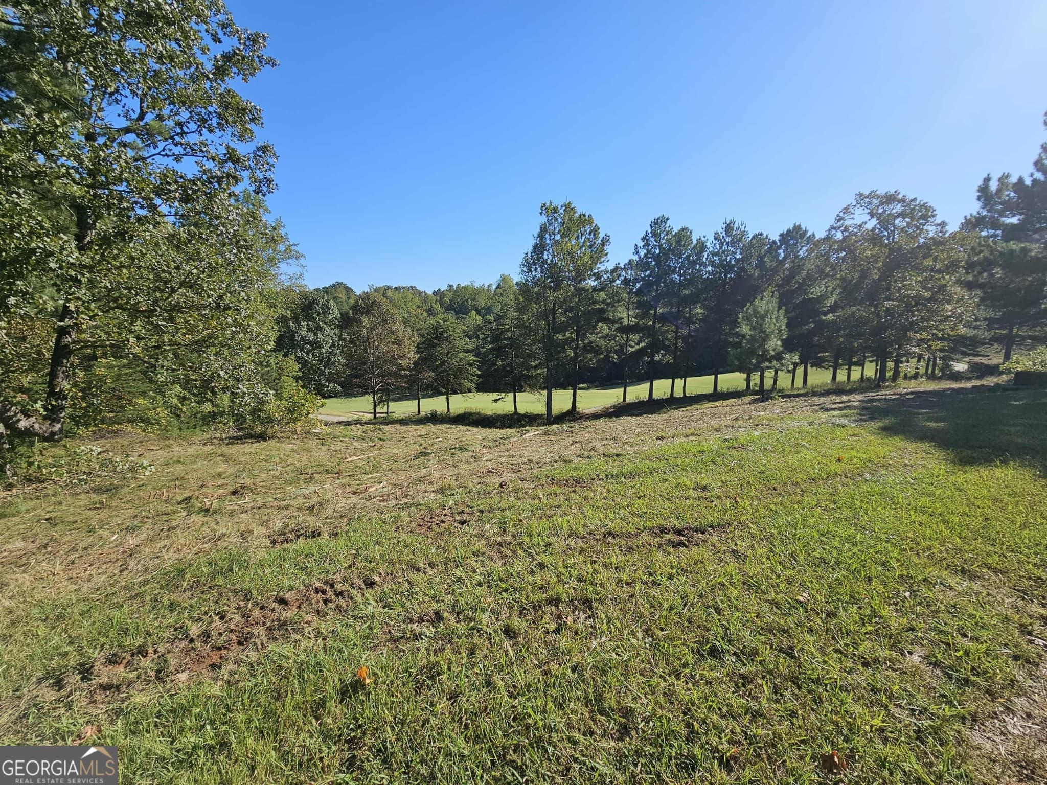 residential lot for sale at 256 Golf Ridge Way, Toccoa, GA 30577 — photo 1 of 20