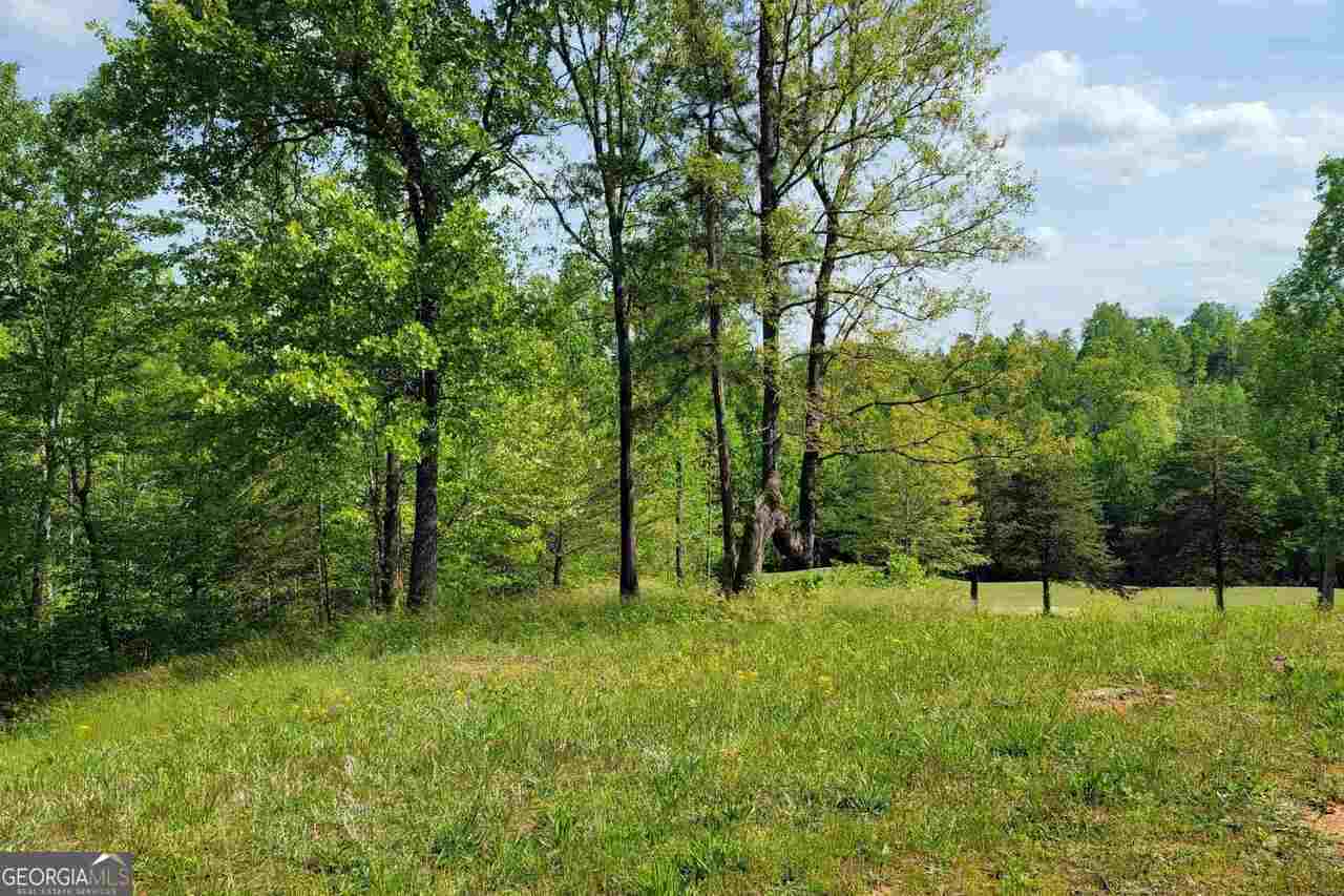 residential lot for sale at 256 Golf Ridge Way, Toccoa, GA 30577 — photo 5