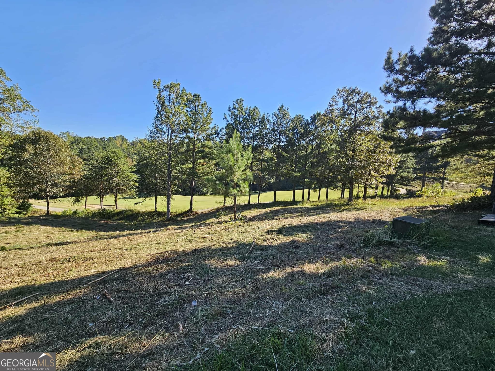 residential lot for sale at 256 Golf Ridge Way, Toccoa, GA 30577 — photo 4