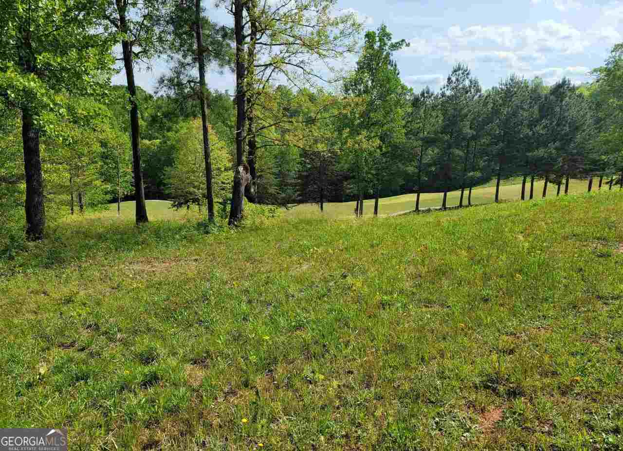 residential lot for sale at 256 Golf Ridge Way, Toccoa, GA 30577 — photo 8