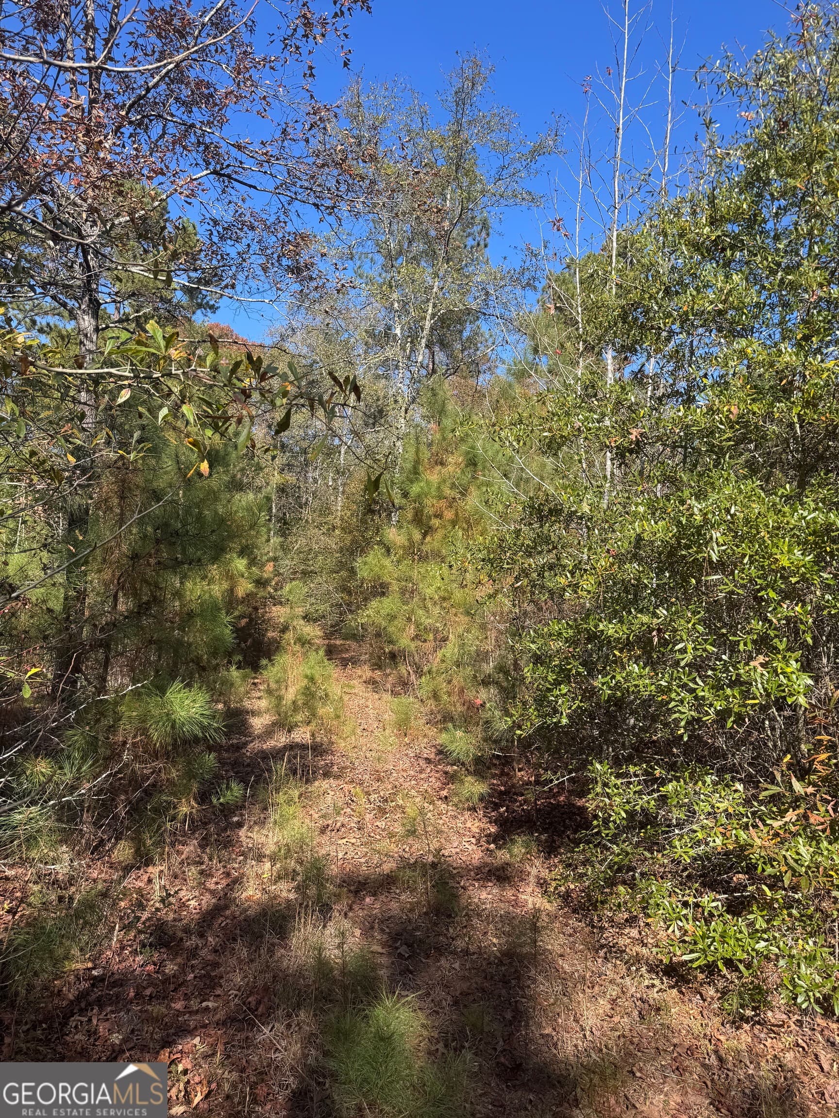 residential lot for sale at 143 W Drummond Road, West Point, GA 31833 — photo 2