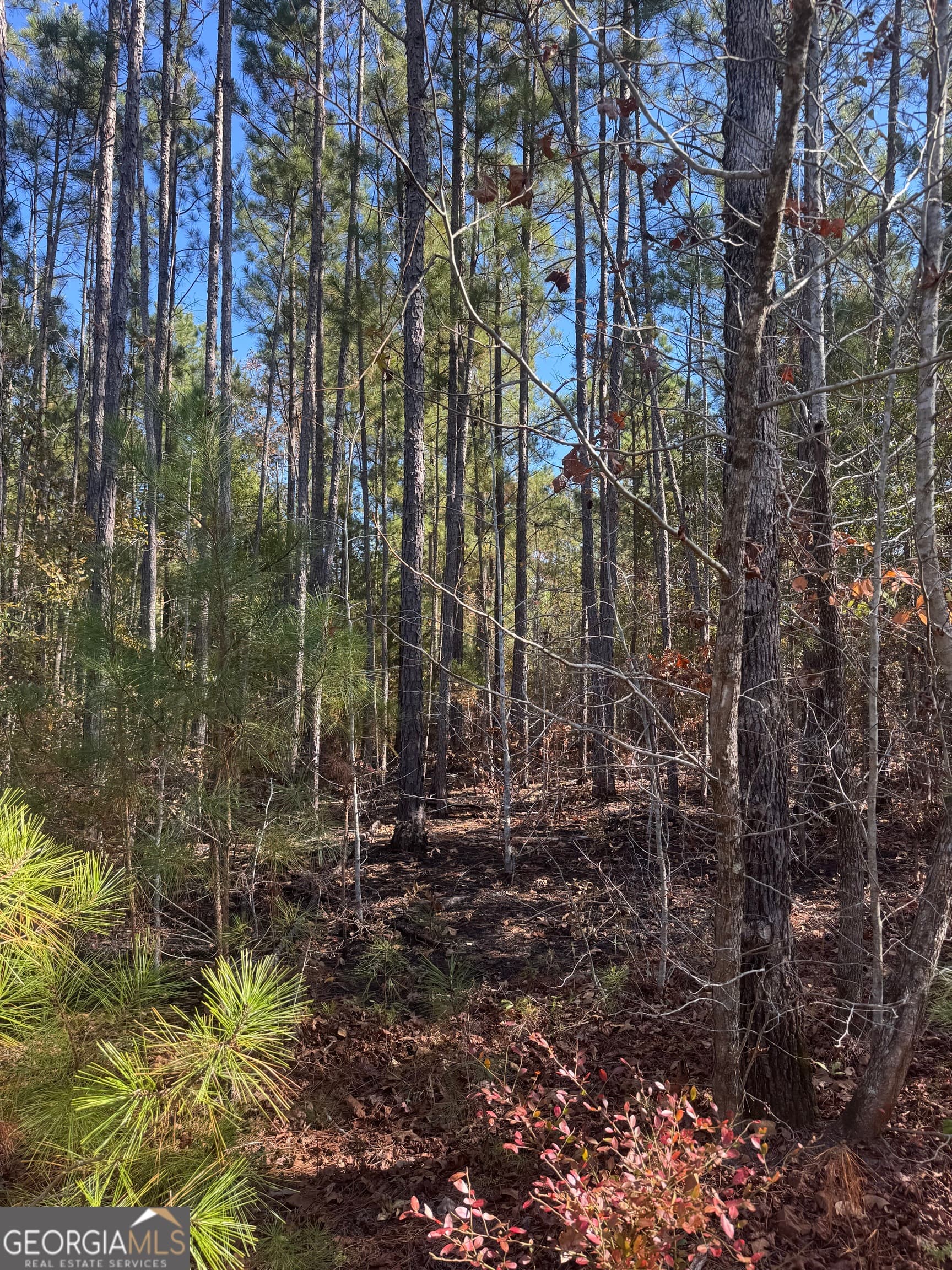 residential lot for sale at 143 W Drummond Road, West Point, GA 31833 — photo 3